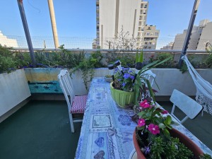 Terraza - <span class='unbreak'>foto 1</span>